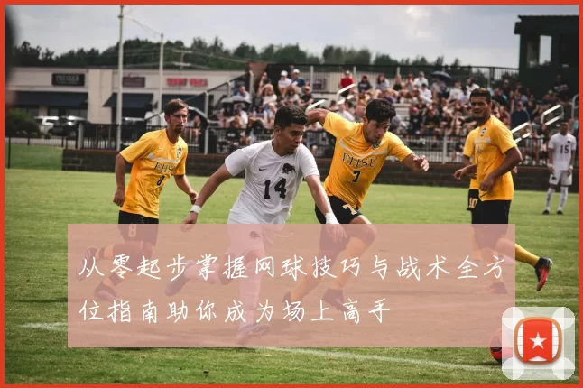 从零起步掌握网球技巧与战术全方位指南助你成为场上高手