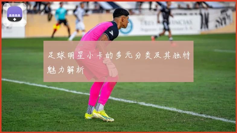 足球明星小卡的多元分类及其独特魅力解析